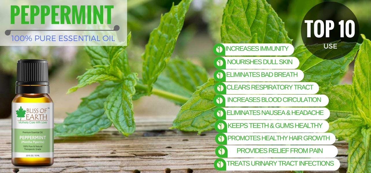 Bliss of earth 100% Pure Lavender Essential Oil & Peppermint Natural Essential oil combo (10ml) therapeutic Grade (pack of 2) - Image 8