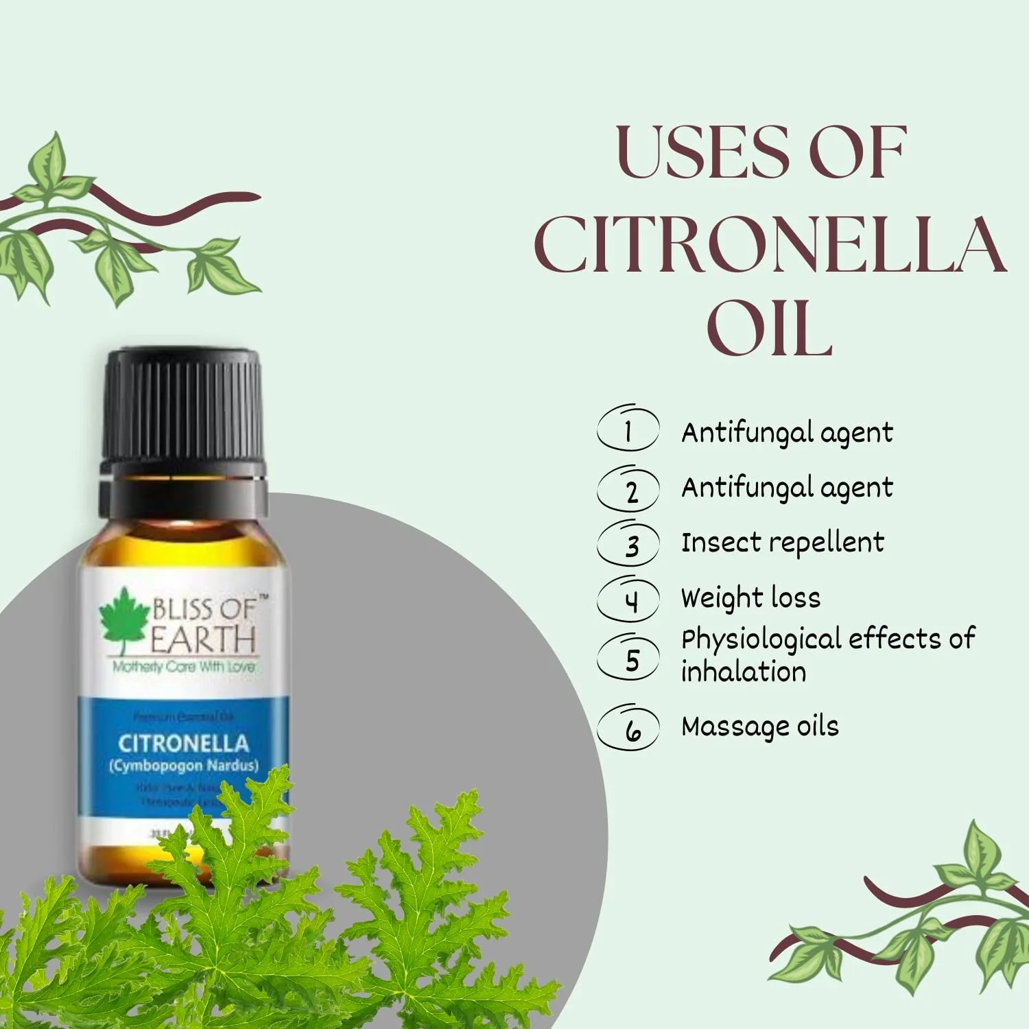 Citronella Essential Oil - Image 4