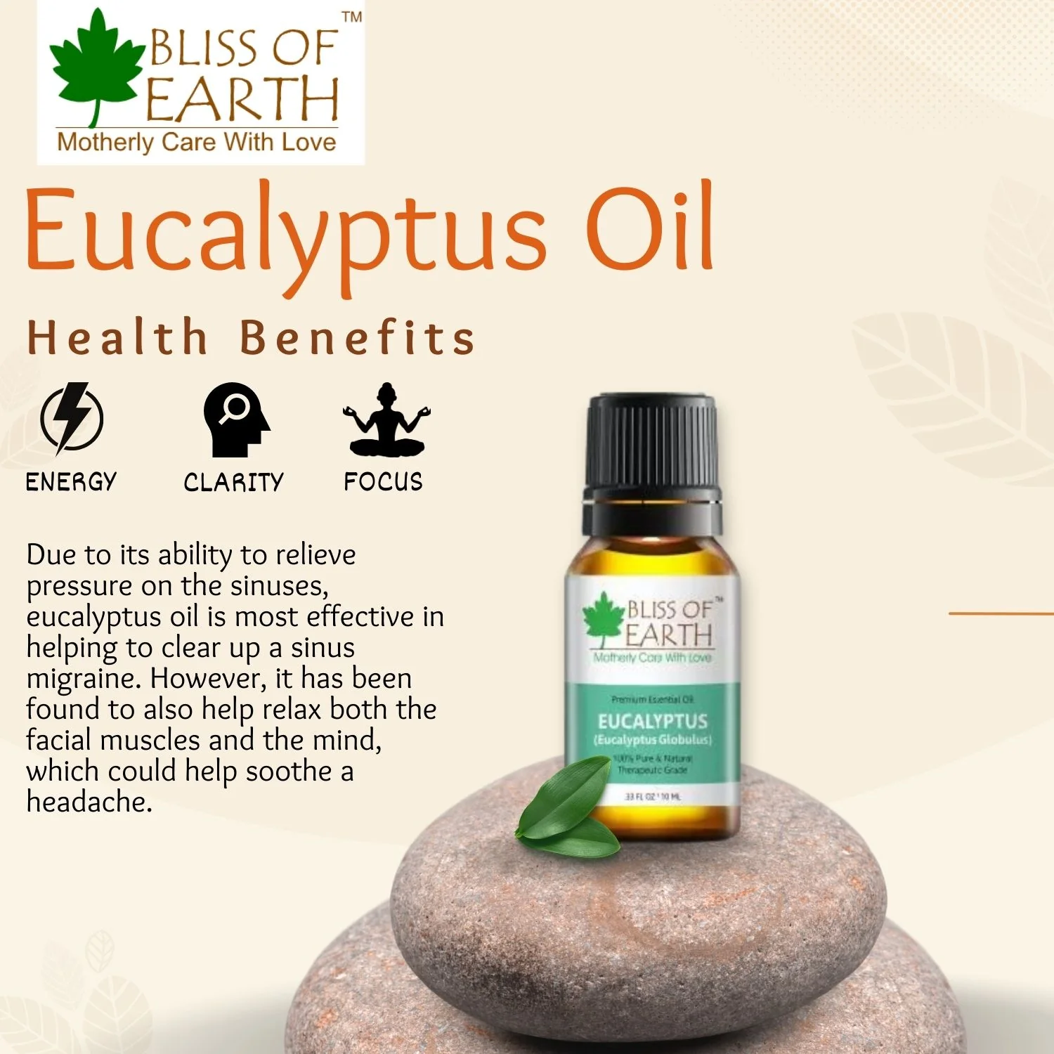 Eucalyptus Essential Oil - Image 5