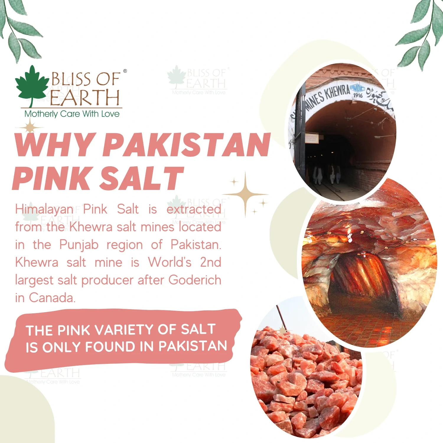 Himalayan Pink Salt (Regular) - Image 4