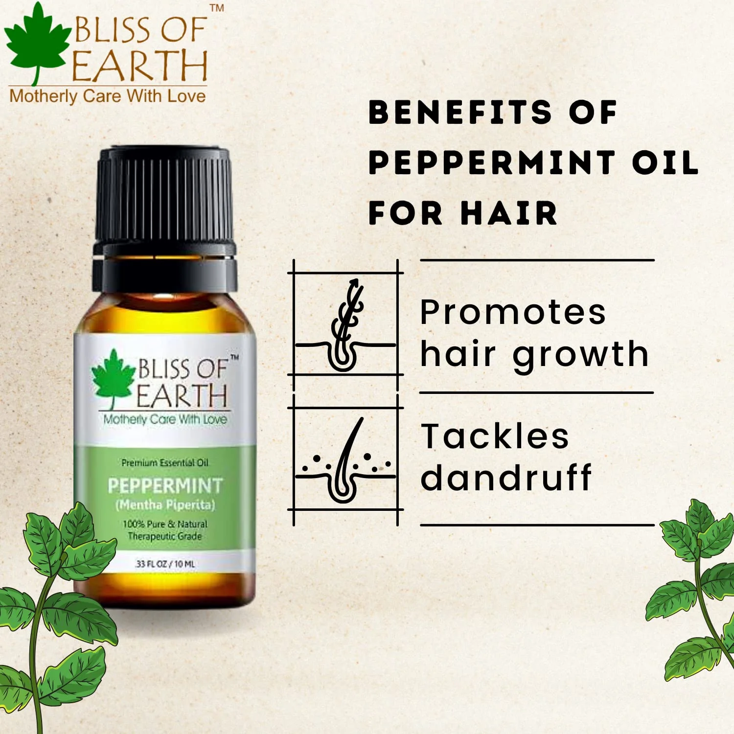 Peppermint Essential Oil - Image 4