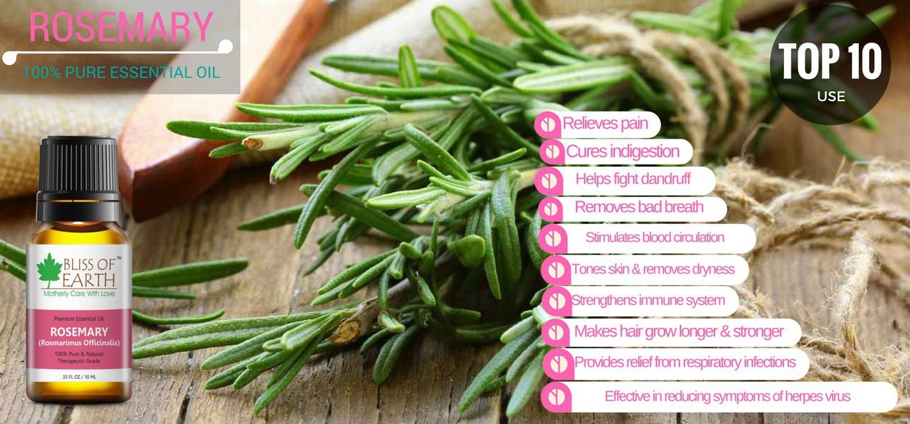 Rosemary Essential Oil - Image 3