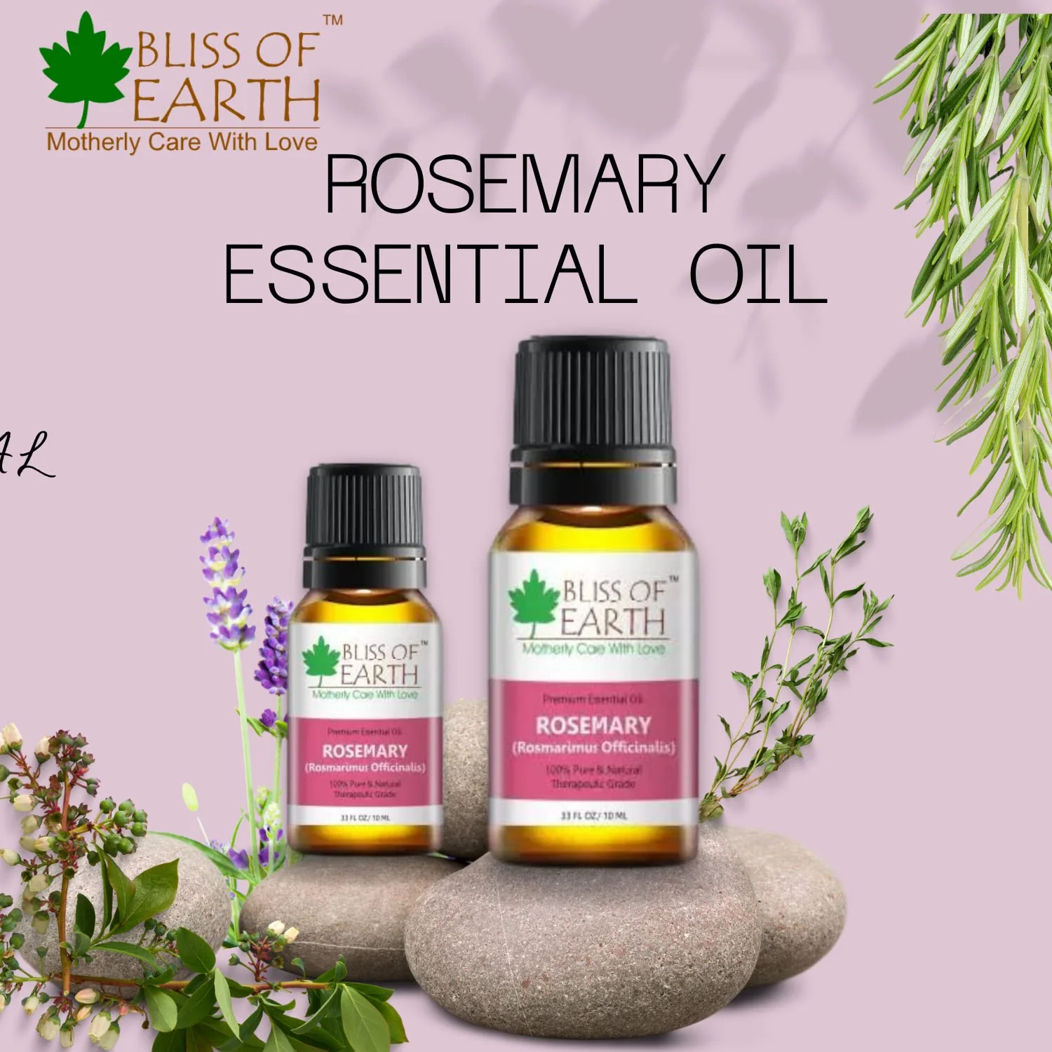 Rosemary Essential Oil - Image 5