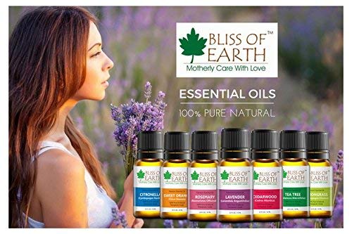 Rosemary Essential Oil - Image 8