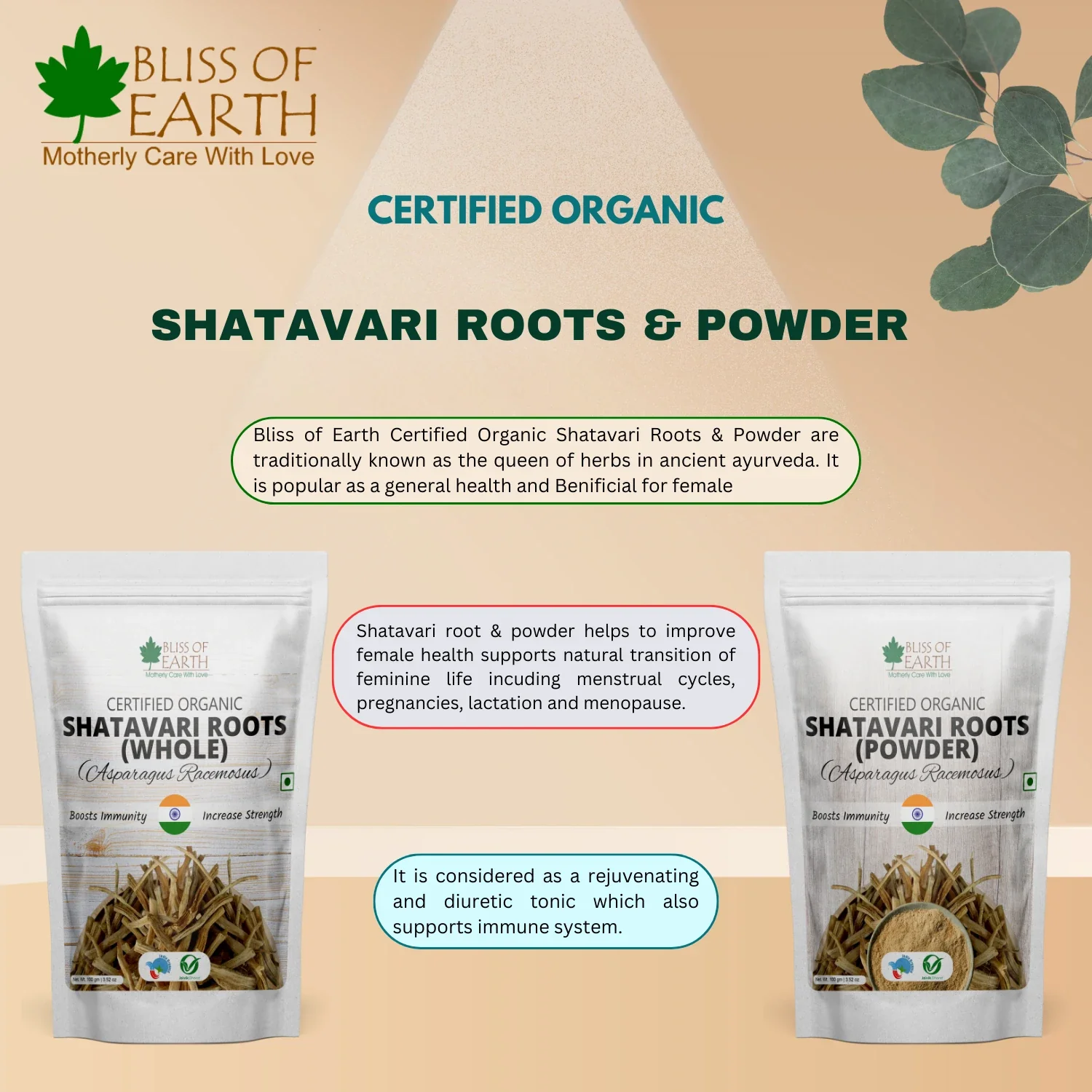 Shatavari Root Whole & Powder Organic - Image 5