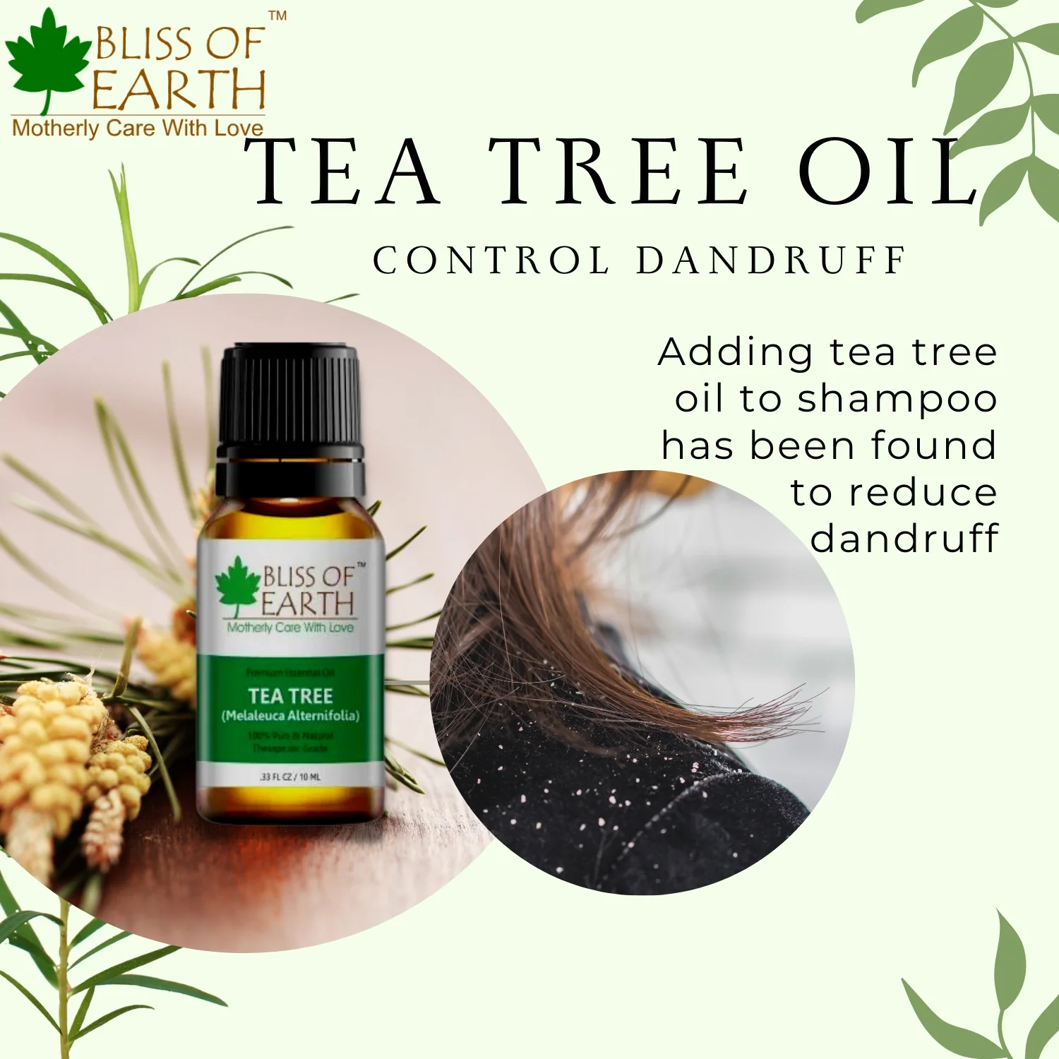 Tea Tree Essential Oil - Image 3