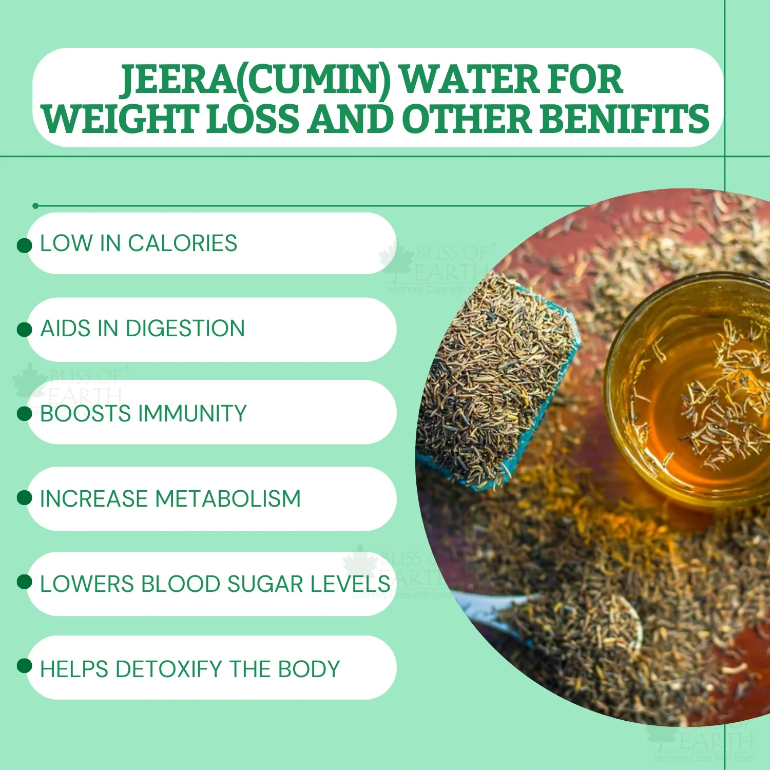 Cumin Whole (Sabut Jeera) - Image 4